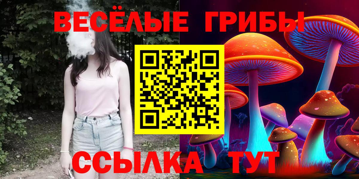 Псилоцибиновые грибы ЛСД Нерюнгри