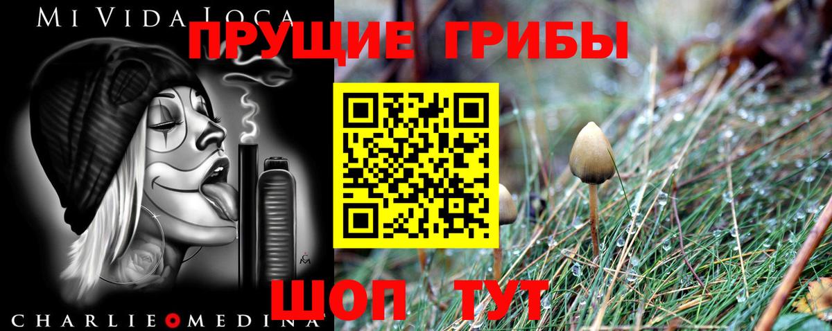 как найти наркотики  Вход с VPN  Нерюнгри  Галлюциногенные грибы ЛСД  Галлюциногенные грибы Magic Shrooms 